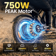 thumbnail image 3 of TakeMov Electric Bike for Adults, 750W Motor, 48V 50Ah Dual Battery E Mountain Ebike, 20" x 4" Fat Tire Off-Road Ebike, Full Suspension, Class 3, UL2849, 3 of 8
