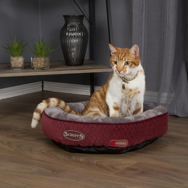 Scruffs Pet Bed SelfHeating Thermal Ring Cat Bed Burgundy