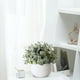 thumbnail image 5 of Artificial Plant Pot, Small Potted Decoration, Living Room Countertops Windowsills, Desktop Greenery, Home Decor, Artificial Plants for Home, Realistic Touch, Stylized Design, High Traffic Plants,, 5 of 9