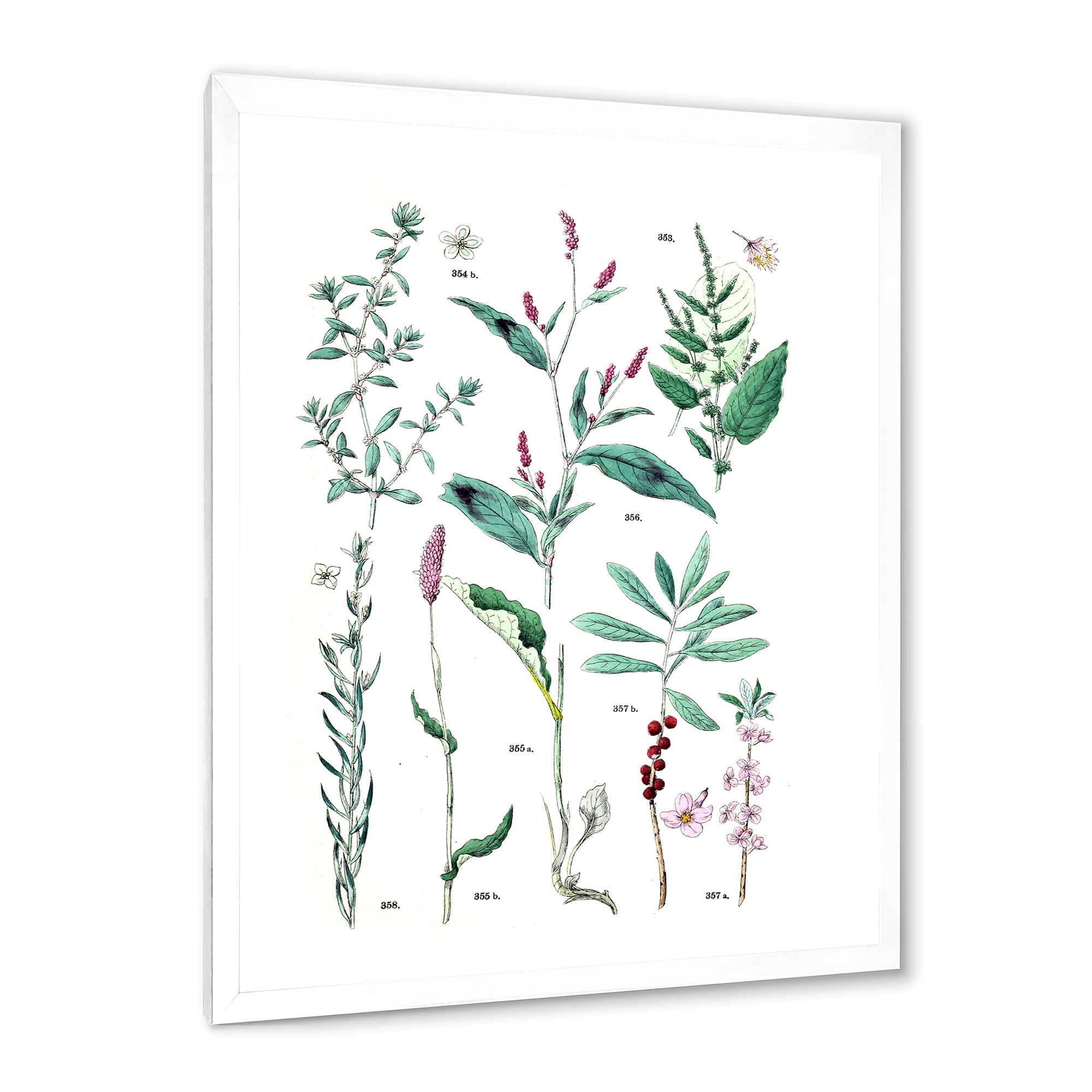Designart 'Ancient Plants' Traditional Framed Art Print