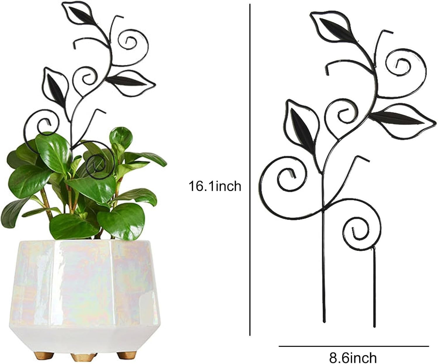 Decorative Metal Plant Trellis for Indoor Potted Plants – Leaf Shape Vine Support Stakes with Plant Clips, Garden Trellises for Climbing Plants, Vines