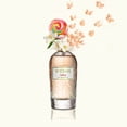 thumbnail image 2 of Perfume WIDIAN Cotton Eau de Parfum 100 ml para mujer, 2 of 2