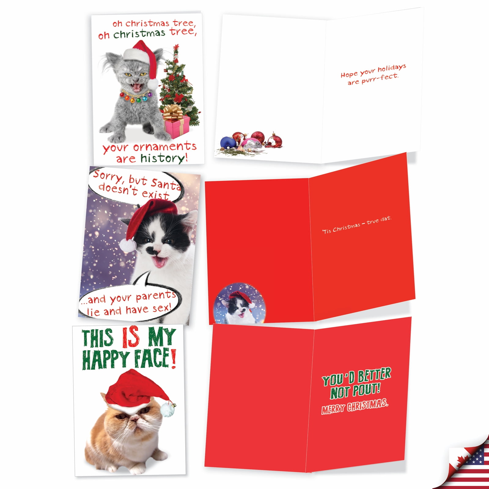 NobleWorks 20 Assorted Box Set Funny Christmas Greeting Cards w/5 x 7 Inch Envelopes (10 Designs, 2 Each) Cat-Mass Cards AC1254XSG-B2x10