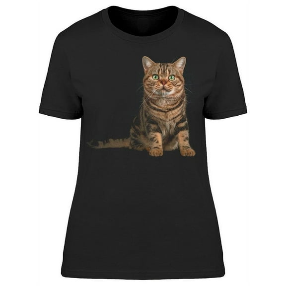 Laying Shorthair Cat T-Shirt Women -Image by Shutterstock, Female Large