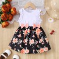 thumbnail image 2 of Kucnuzki Infant Baby Girl Clothes 2T Spring Summer Dress 3T Sleeveless Cute Rose Prints Bowknot Sundress White 2-3 Years, 2 of 6