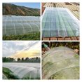 thumbnail image 3 of netuera Garden Mosquito Netting Plant Covers Protect Plants Vegetables Fruits 6.5*15ft, 3 of 7