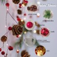 thumbnail image 4 of 6.5ft Pinecone Red Berry Christmas String Lights, 20 LED Xmas Christmas Garland with Red Berry Pine Cone Fairy String Lights  Indoor Outdoor Fireplace Mantel Holiday Christmas Party Decorations, 4 of 4