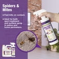 thumbnail image 6 of EcoVenger All Purpose Home Insect Control 16 oz, Fleas, Fruit Flies, Gnats, Moths, Roaches, Spiders, Fast Kill, Lasting Prevention, Kill Eggs, Plant Extract Based & Non-Toxic, 6 of 13