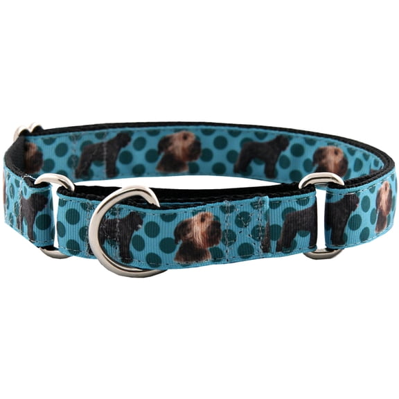 Country Brook Petz® Bouviers Ribbon Martingale Dog Collar Limited Edition, Medium