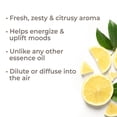 thumbnail image 2 of Plant Therapy Essential Oils Lemon Essence Oil 10 mL 100% Pure, Undiluted, Natural Aromatherapy, 2 of 5
