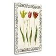 thumbnail image 2 of Tangletown Fine Art 'Spring Blooms I' Graphic Art Print on Wrapped Canvas, 2 of 2
