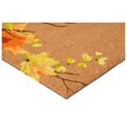 thumbnail image 5 of Calloway Mills 116582436 Fall Foliage Doormat, 24" x 36", 5 of 7