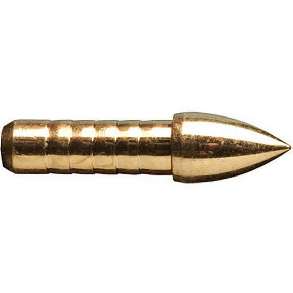 Gold Tip Llc .246 GT Glue-In Adjustable Weight Point 100gr