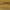 Light Oak, variant on Black WallSaver ChordSavers  Indoor Wire Cord Cover Protector PVC -  Width : 2-1/2" ; Length : 36"