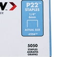 Arrow Fastener 224 P22 Staples, 1/4"