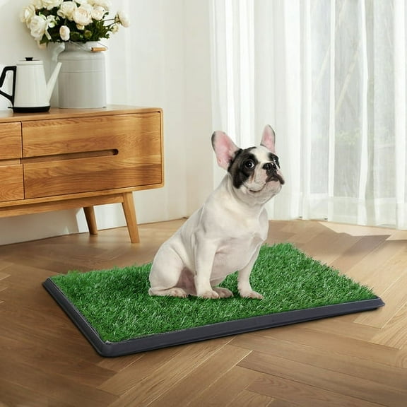 Immere 30 Inch Grass Puppy Pee Pad for Dogs and Small Pets Reusable 3-Layer Training Potty Pad with Tray, Pet Toilet for Dog Housebreaking Supplies, Green