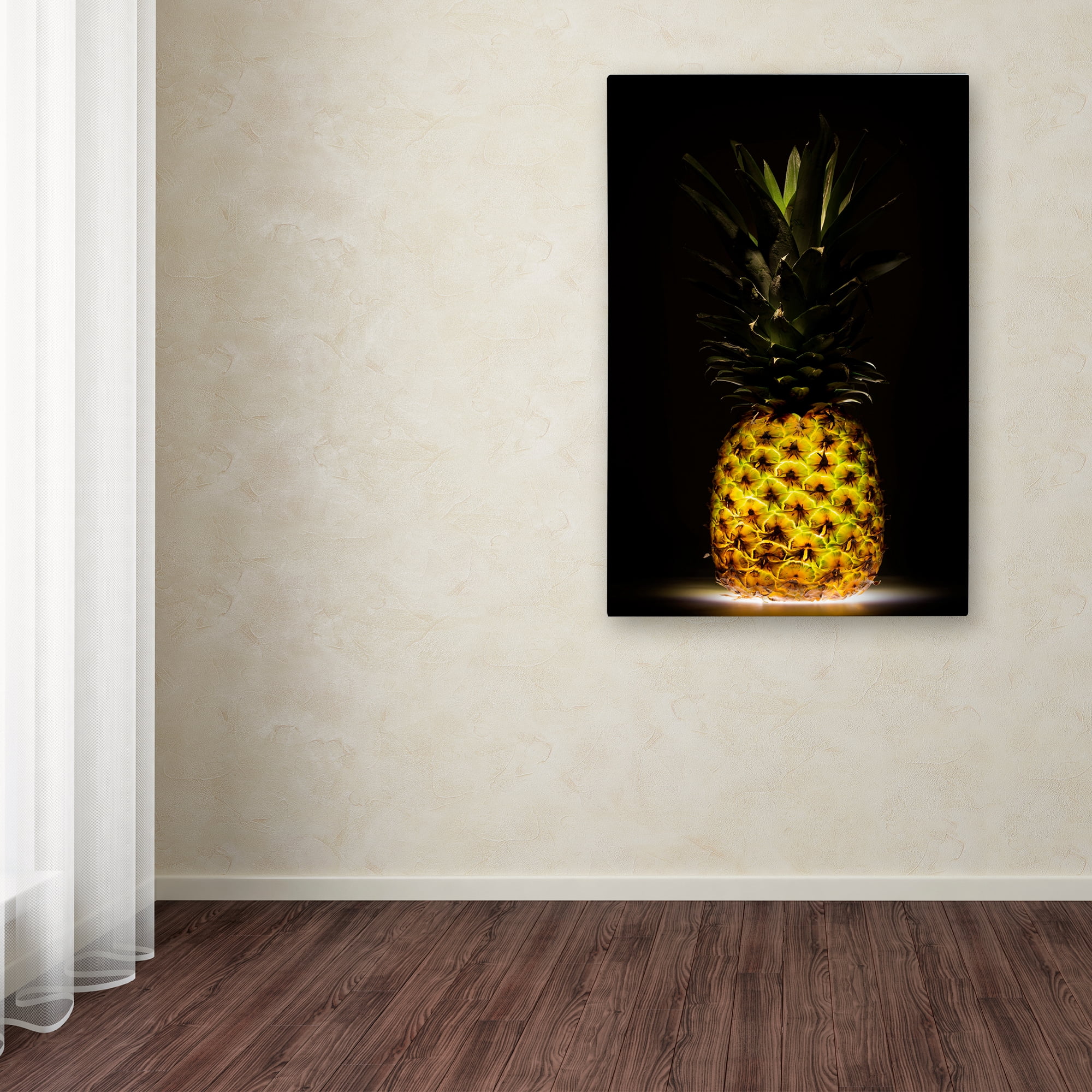 Trademark Fine Art 'Pineapple' Canvas Art by Wieteke De Kogel