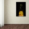 thumbnail image 3 of Trademark Fine Art 'Pineapple' Canvas Art by Wieteke De Kogel, 3 of 3