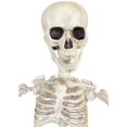 thumbnail image 4 of Sunstar 19 in Halloween Poseable Skeleton, 4 of 4