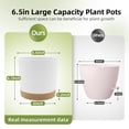 thumbnail image 4 of QCQHDU 2 Pack Plant Pot, 6.5 in White Plastic Indoor Planter with Drainage Holes and Removable Base, 4 of 7