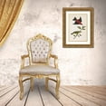 thumbnail image 3 of Wild Apple Portfolio 11x14 Gold Ornate Wood Framed with Double Matting Museum Art Print Titled - Scarlet Tanager Bright, 3 of 4