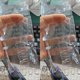thumbnail image 5 of Sonny Angel Hipper Modelo Mismo Nano Adhesivo Muñeca Adorno Nano Cinta de Doble Cara Transparente Alta Viscosidad Parche Fijo Fuerte, 5 of 5