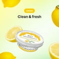 thumbnail image 2 of BIO Absorbant Air Purifier, Lemon, 2 of 7