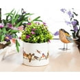 thumbnail image 4 of Colorful Birds On Wire Planter, 4 of 5