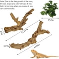 thumbnail image 5 of 2PCS Reptile Wood Branches, Snake Climbing Branch Natural Bearded Dragon Log Tank Accessories Tree Trunk for Chameleon Gecko Snake Frog Spider, 5 of 8