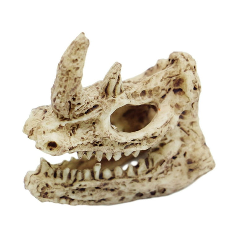 FaLX Skull Figurine Replica - Anthropoid Gazelle Crocodile