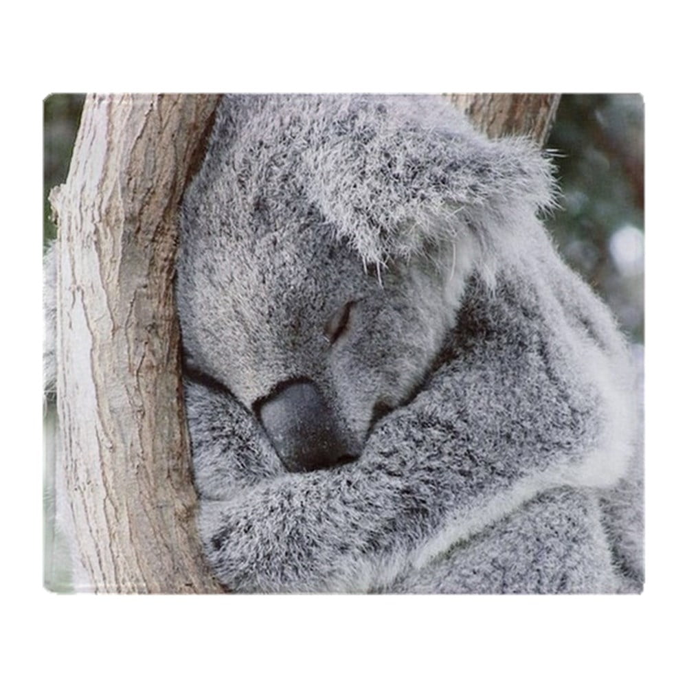CafePress Sleeping Koala Baby Soft Fleece Throw Blanket, 50"x60