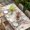 Off White, variant on Bunny Easter Table Cloths for 3 Foot Rectangle Tables, Pink Spring Floral Eucalyptus Leaves Rabbits Patio Waterproof Elastic Fitted Tablecloths, Washable Rectangular Table Cover for Camping