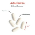 thumbnail image 6 of Allergy Research Group Artemisinin Supplement - Pure Sweet Wormwood Extract Artemisinin Capsules for Adults, Natural Immune support with 200 mg, Digestive Health Support - 90 Vegetarian Capsules, 6 of 8
