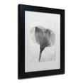 thumbnail image 3 of Trademark Fine Art "Flowers on Ice BW-2" Canvas Art by Moises Levy, White Matte, Black Frame, 3 of 4