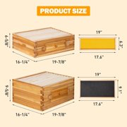BeeCastle 10 Frame Langstroth Bee Hive with Windows Beeswax Coated Includes Beehive Frames and Waxed Foundations (2 Deep Beehive Boxes & 2 Medium Bee Boxes)