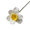 thumbnail image 1 of Monstrate 12 unidades/juego de flores decorativas, accesorio artístico exquisito para una impresionante visualización tridimensional Flores artificiales Corazón amarillo blanco, 1 of 6