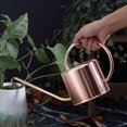 thumbnail image 2 of Hervidor de agua YONGSHENG con pico largo acero inoxidable capacidad 1,2 l, 2 of 5