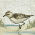 thumbnail image 2 of Wiens, James 15x15 Gold Ornate Wood Framed with Double Matting Museum Art Print Titled - Beach Bird IV, 2 of 4