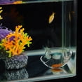 thumbnail image 4 of Mangeoire pour Aquarium Design à Crochet Haute Transparence Tube d'Alimentation pour Crevettes Usage Domestique, 4 of 8