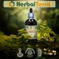 thumbnail image 4 of Horsetail Dry Herb Absolutely Natural Expertly Extracted by Trusted HerbalTerra Brand Certified Organic Alcohol-Based Liquid Extract. Proudly made in USA. Tincture 32 Fl.Oz, 4 of 5
