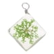 thumbnail image 1 of Transparente Colgantes De Flores De Cristal De Secados Joyería DIY Que Hace Las Fuentes Verde claro Macarena Colgantes de cristal de flores secas, 1 of 8
