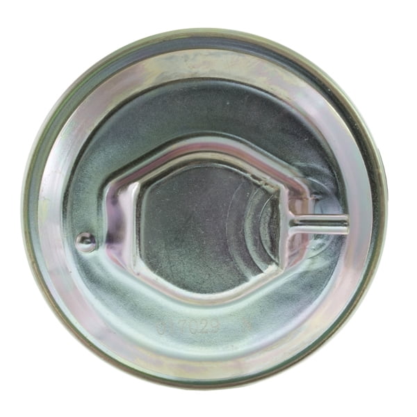 Exhaust Gas Recirculation (EGR) Valve