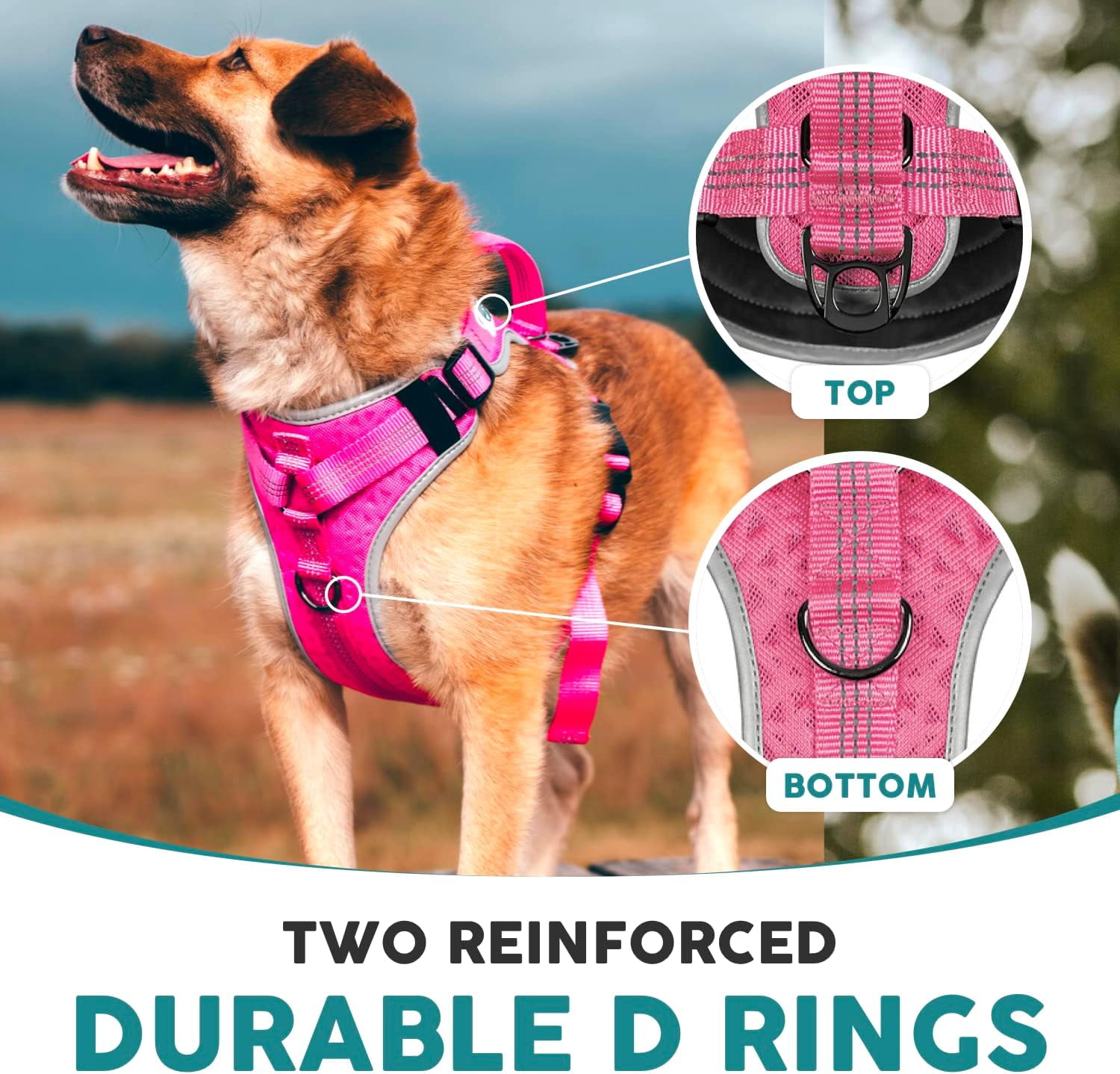 Embark Sports Dog Harness, Dog Harness for Medium Dogs No Pull with Light and Breathable Design - No Pull Dog Harness with Handle for Control. Easy On and Off, Size Adjustable, Non Choke Pink Vest