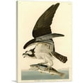 thumbnail image 1 of ARTCANVAS Fish Hawk - Osprey Canvas Art Print by John James Audubon - Size: 60" x 40" (0.75" Deep) (3-Piece), 1 of 9