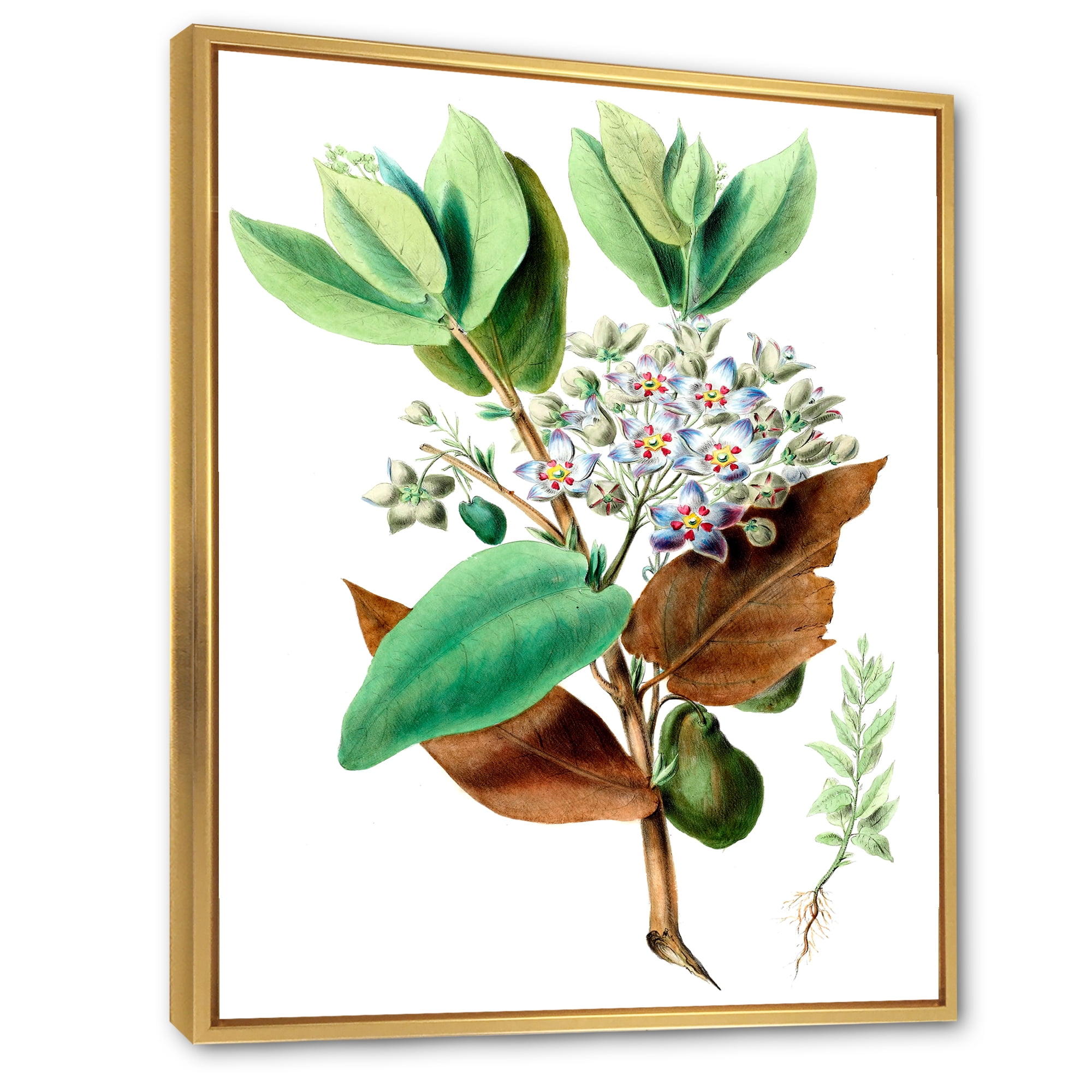 Designart 'Ancient Plant Life XXVIII' Traditional Framed Canvas Wall Art Print