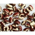 thumbnail image 3 of Zursun Heirloom Dry Anasazi Beans 24 oz each (2-Pack), 3 of 6