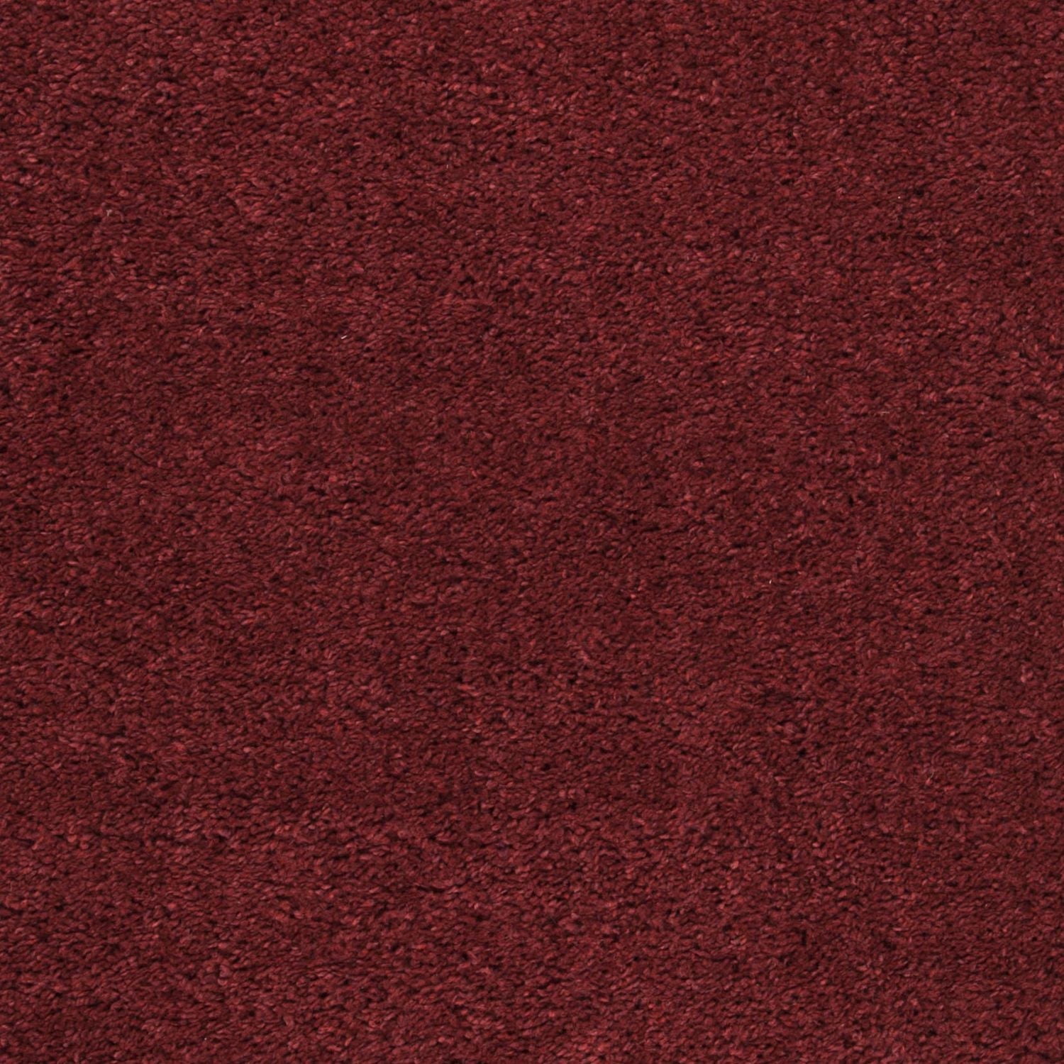 SAFAVIEH August Carlene Tapis Peluche Shag