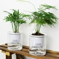 thumbnail image 4 of Plants Hydroponic Self-watering Flowerpot Flower Pot Automatic Water Absorption, 4 of 11