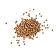 thumbnail image 4 of Organic Whole Red Lentils, 5 Pounds — Non-GMO, Sproutable, Kosher, Raw, Vegan — by Food to Live, 4 of 8