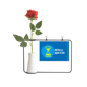 thumbnail image 1 of Usted no puede cambiar el pasado Botella de decoración de jarrones colgantes de flores rosas artificiales, 1 of 3
